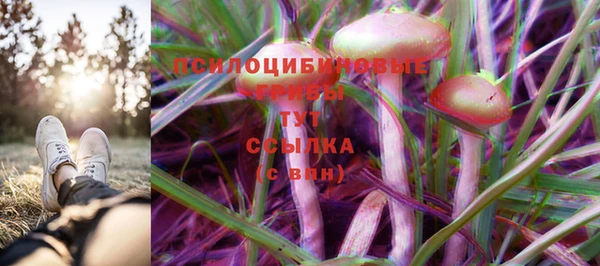 ALPHA-PVP Пересвет