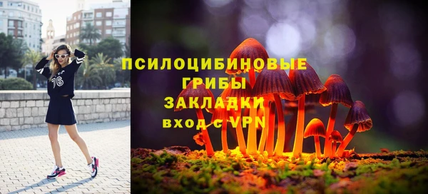 амф Осинники