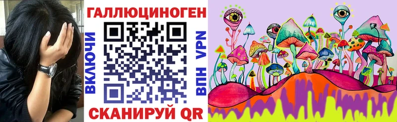 Псилоцибиновые грибы Cubensis  Купить закладки  Зима 